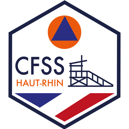 Logo CFSS